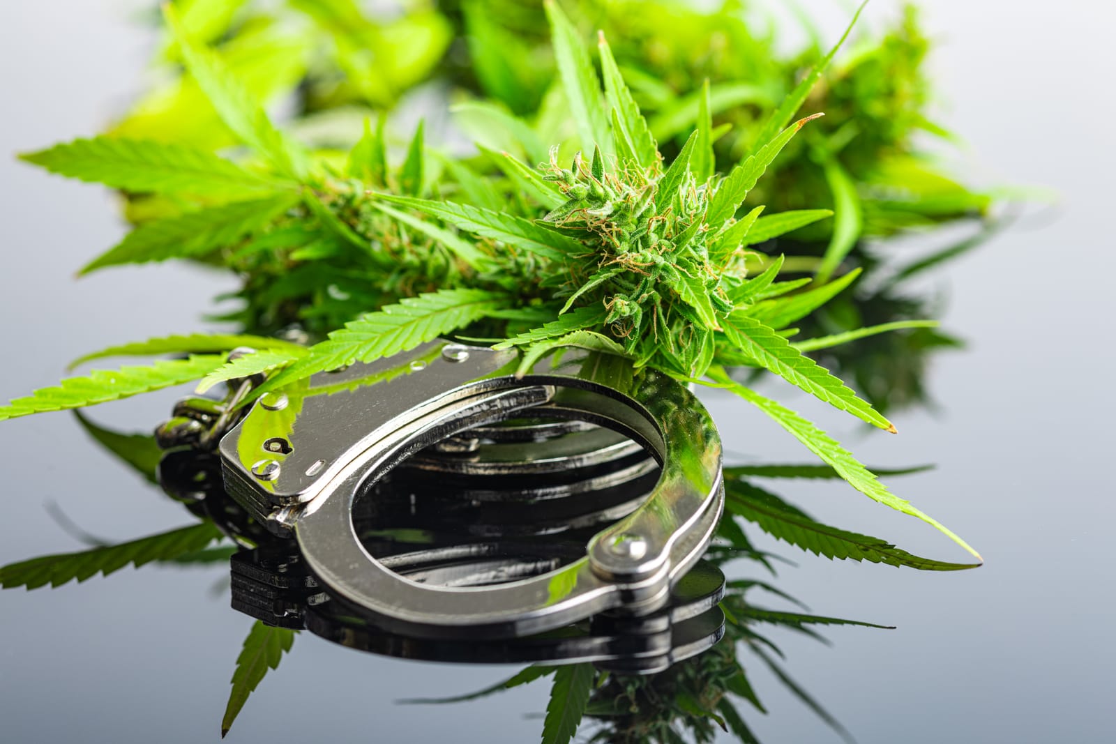 marijuana DUI
